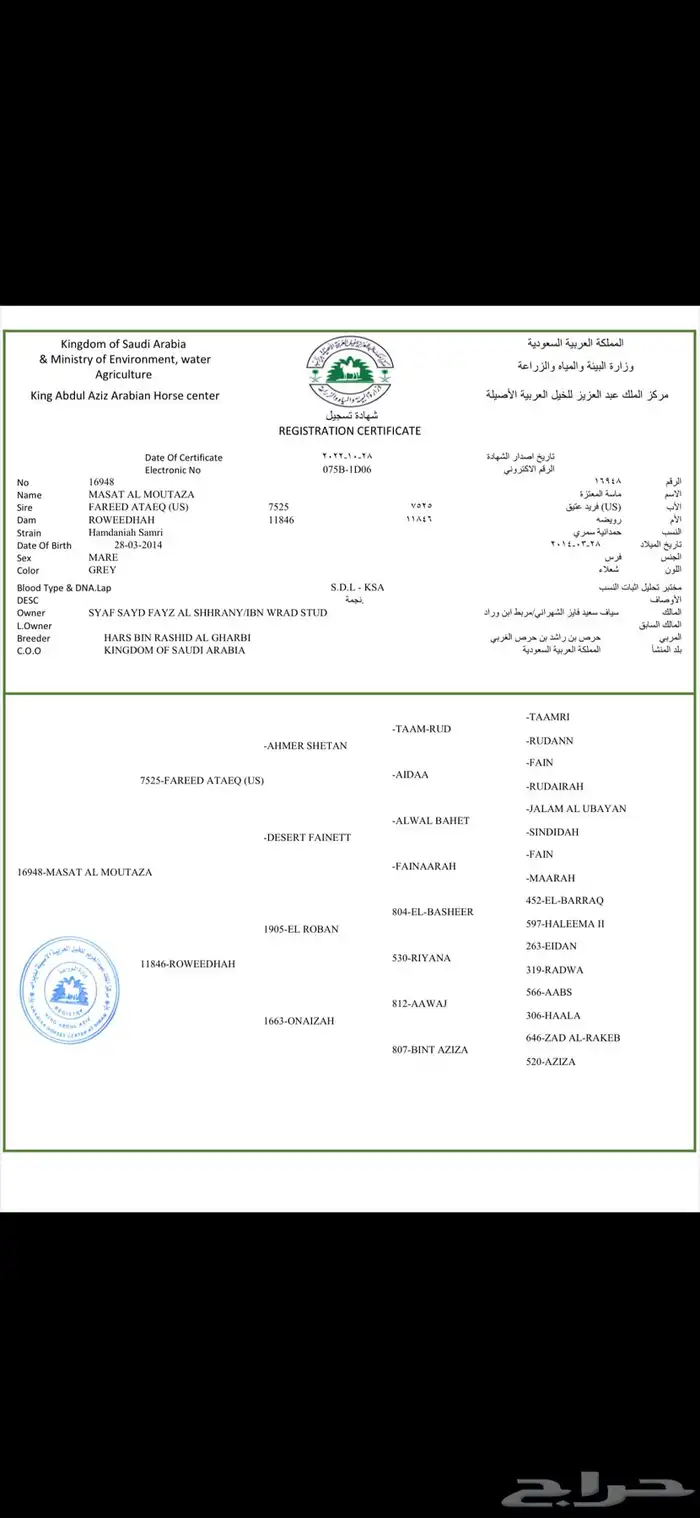 فرس جزيري رسن حمدانيه سمريه ورق 3