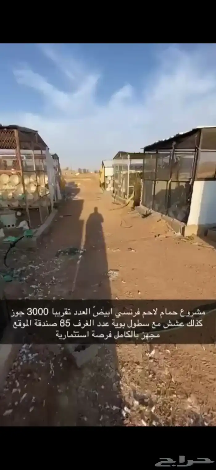 حمام فرنسي لاحم ابيض 6