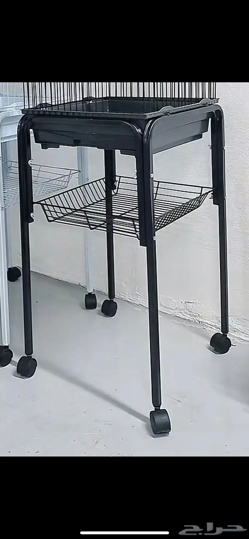 حايل 1