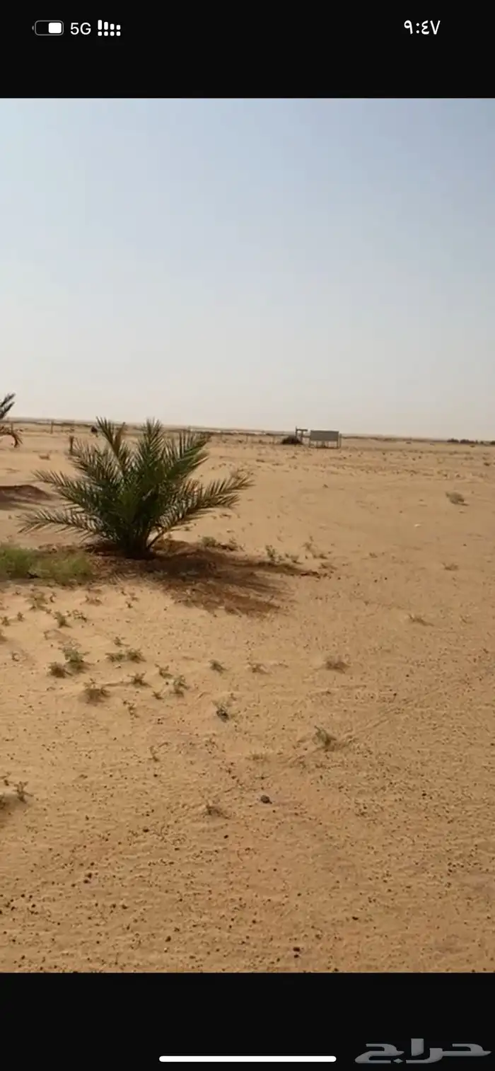 مزرعة للايجار 2