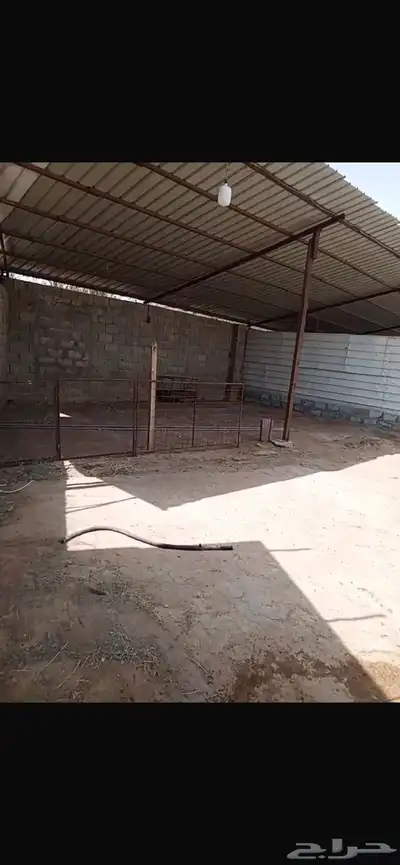 حوش داخل مزرعتي مظله 7