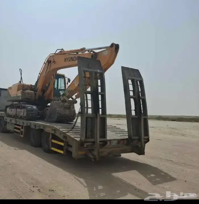 لوبد متوجد في الرين 0