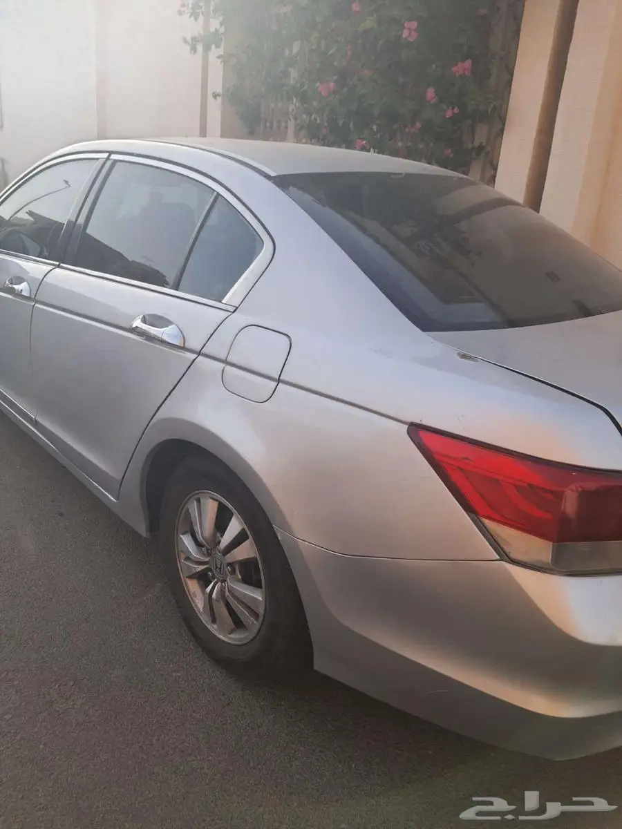 أكورد 2009 1