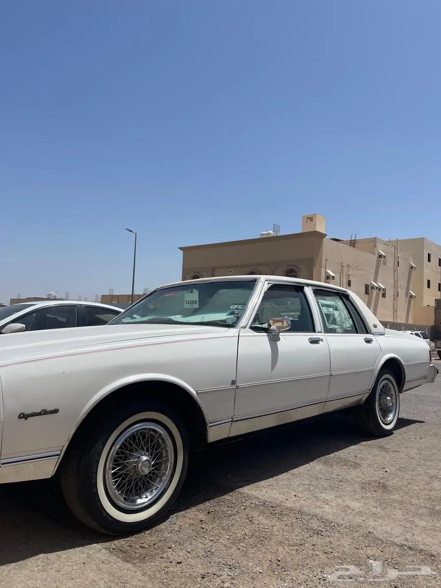 كابرس 84 3