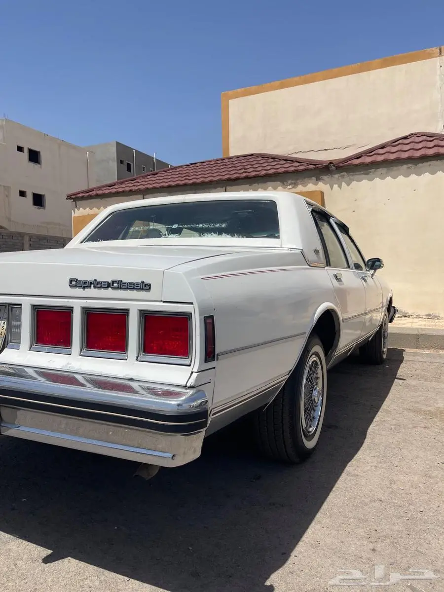 كابرس 84 2