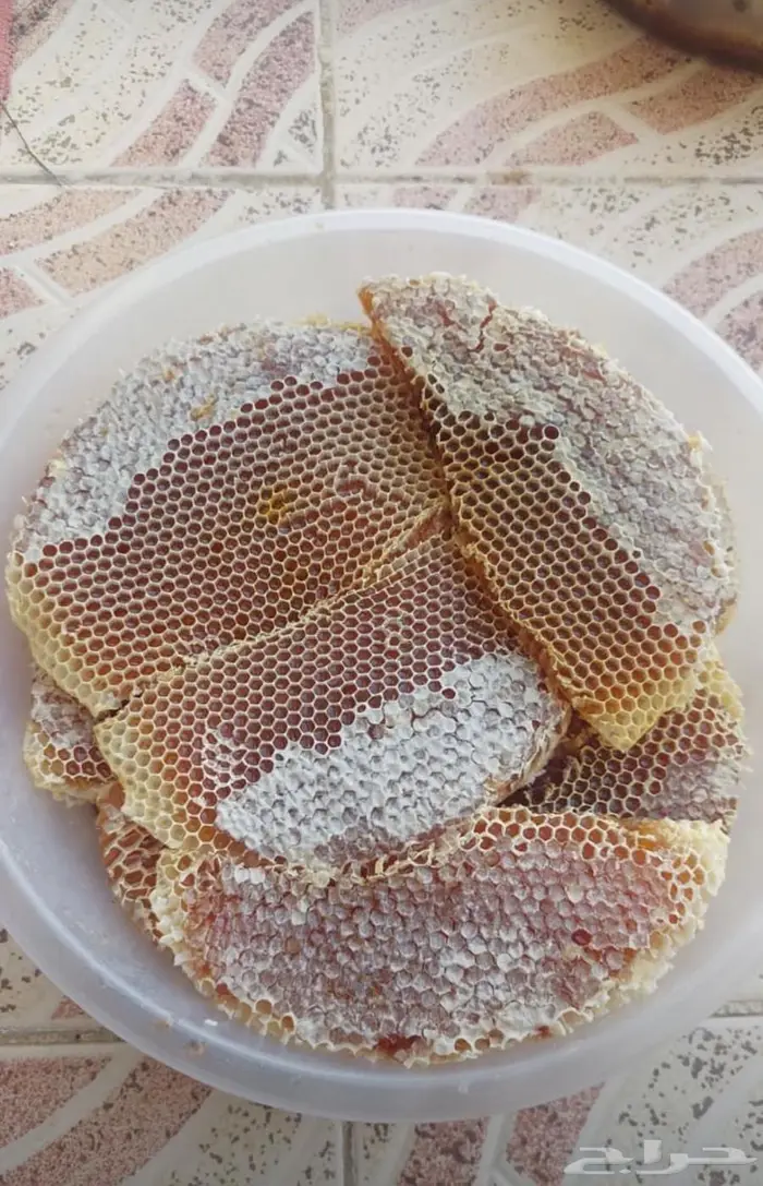 عسل طلح الشمال بلدي صافي ومشروط 0