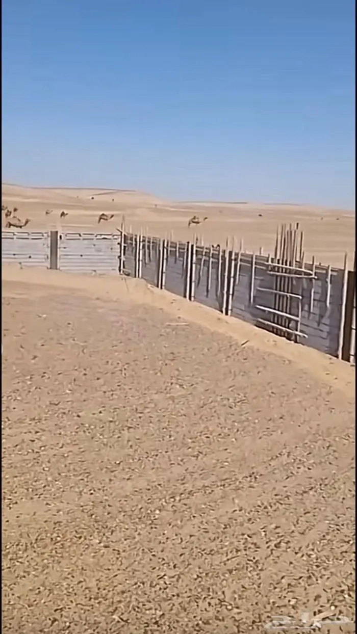 مقاول مؤسسة خليل الابداع مقاولات عامة رابغ 30