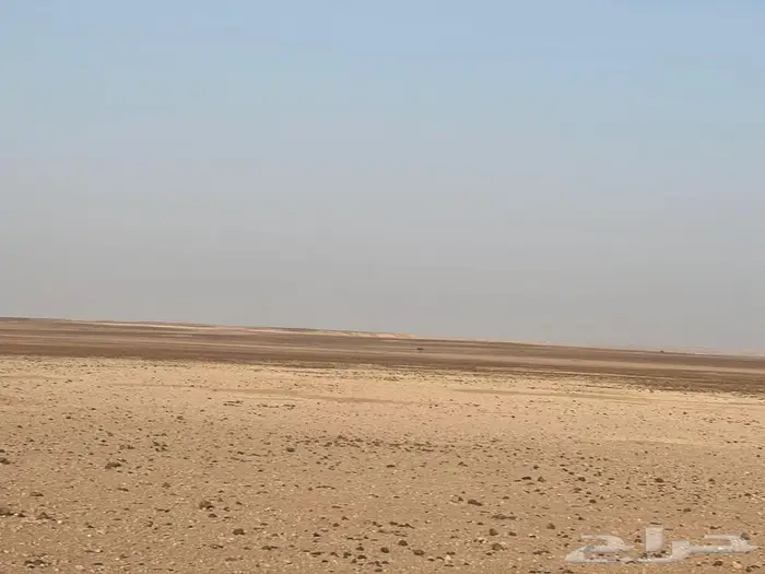 ارض زراعية للبيع عليها ترخيص استزراع سمكي 4
