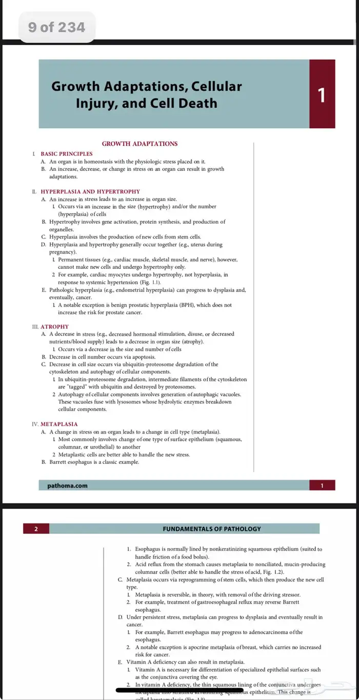 كتاب Pathoma   Fundamentals of Pathology 2