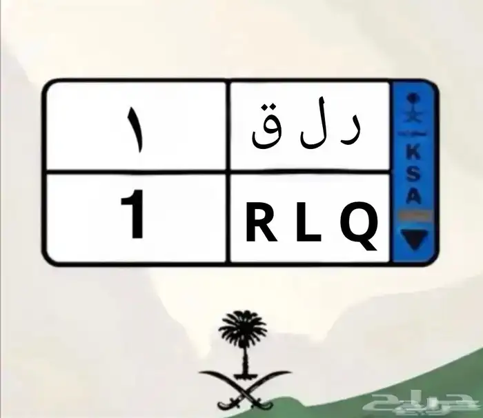 لوحة فردية مميزة  ( ر ل ق 1 ) نقل حد 50 الف 0