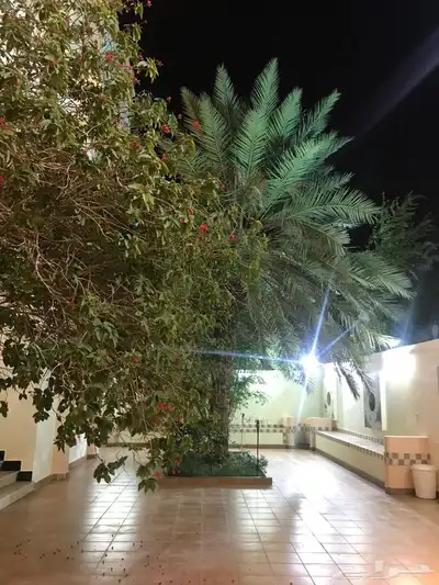 لقطه 10