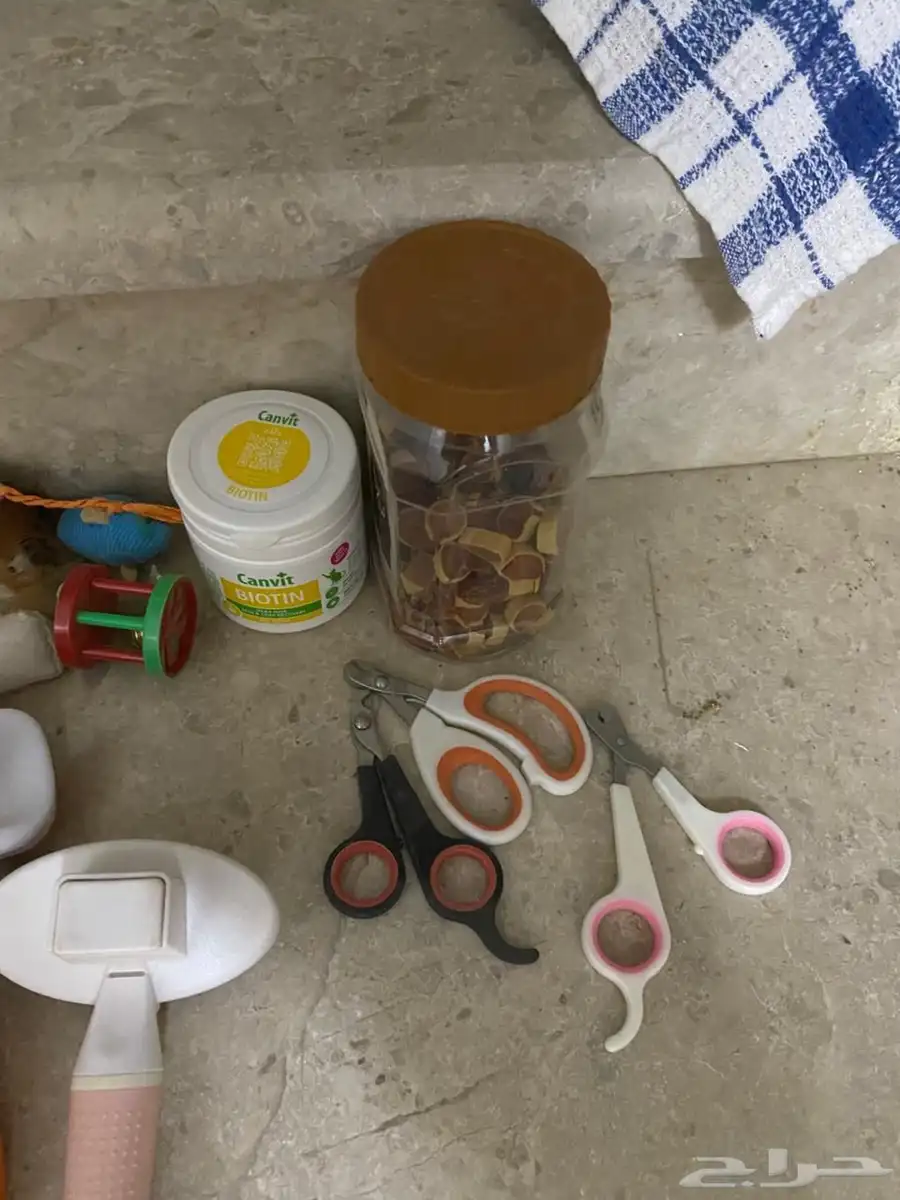 أدوات قطط 0