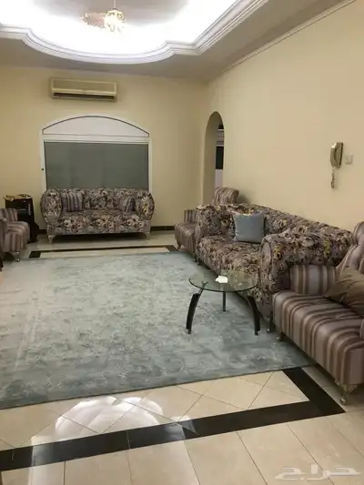 لقطه 5