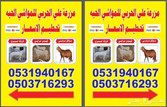 جده 1