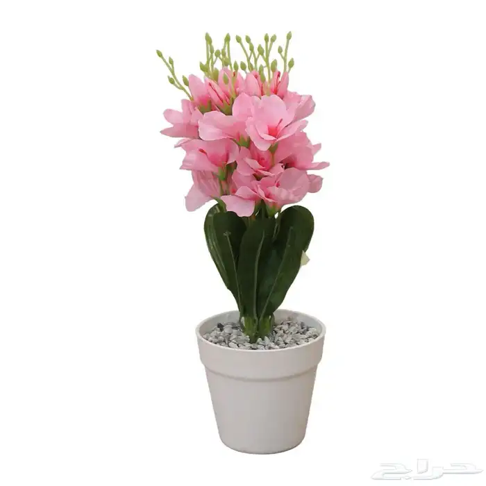 طاولات اثاث سعر جمله 8