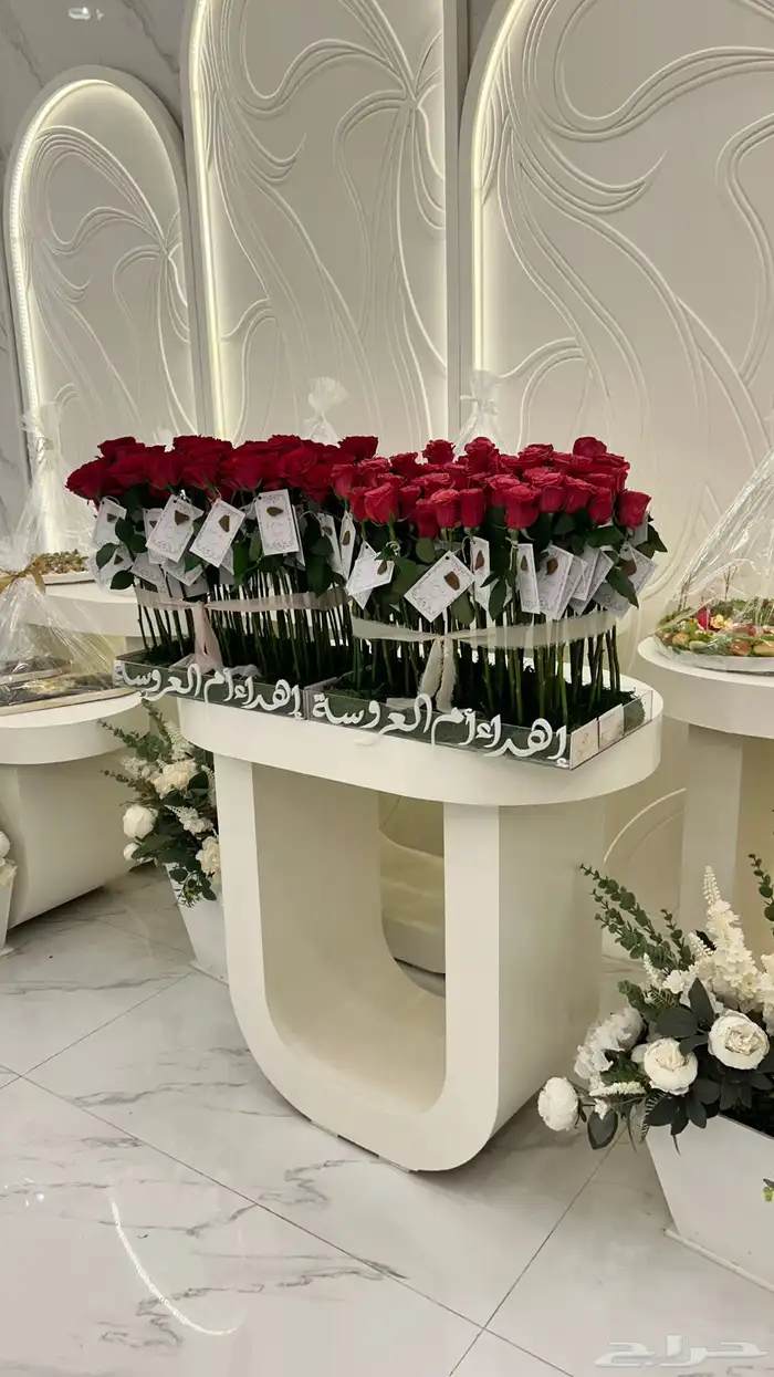 توزيعات مواليد وزواجات 3