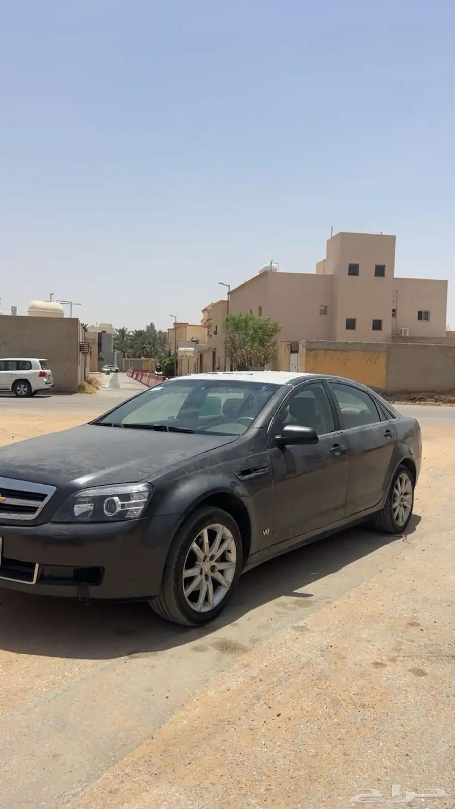 كابرس 2008 1
