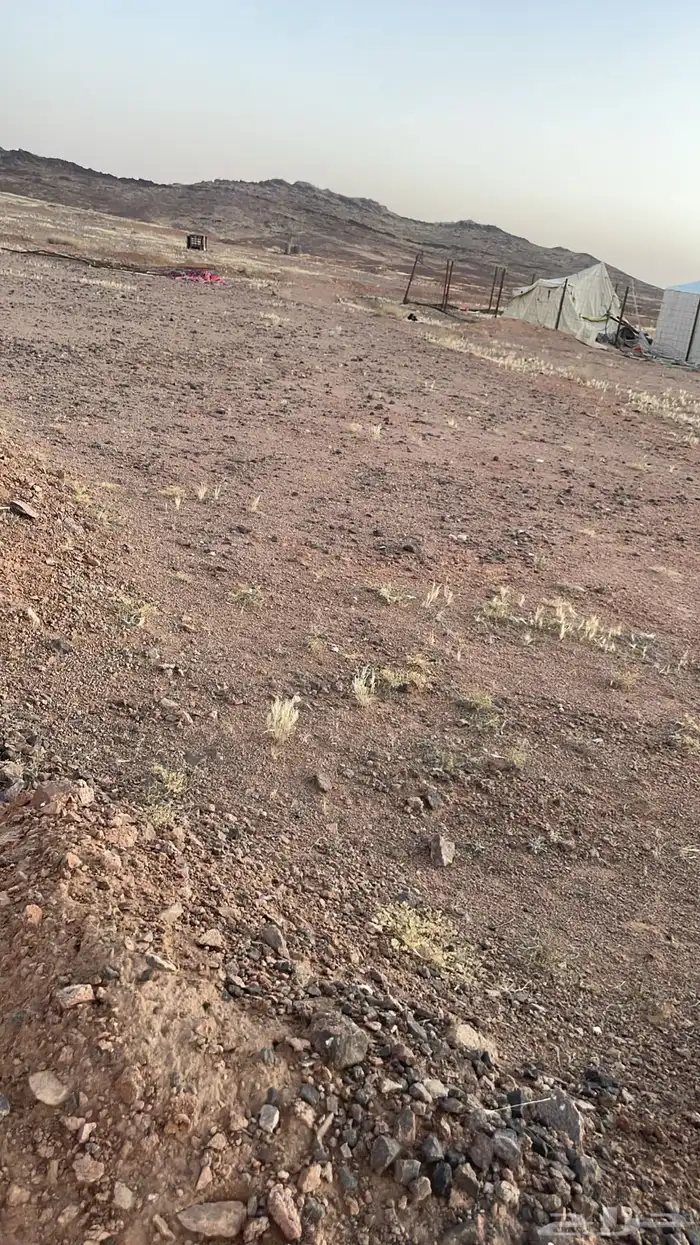 ارض و مخيم ارينبه جنوب حايل بيع حد 18 الف او لاستثمارات شهري 2