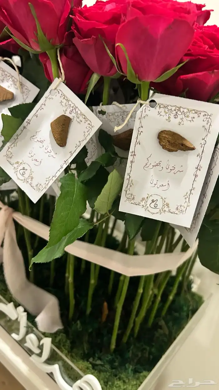 توزيعات مواليد وزواجات 6