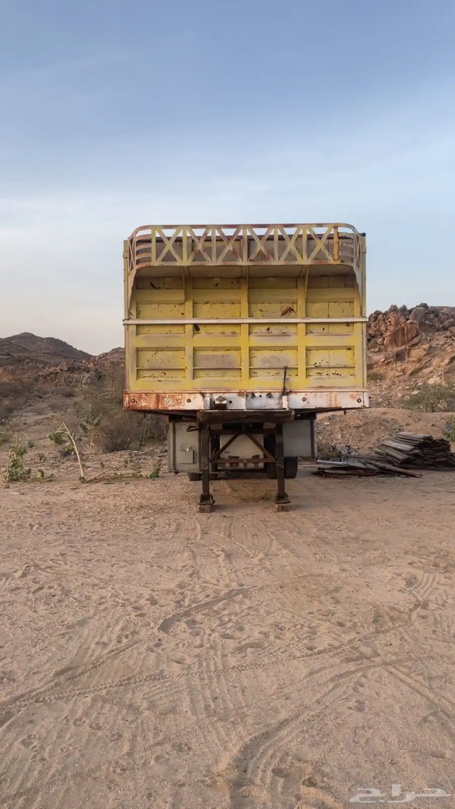 تيدر كرونا الاماني 0