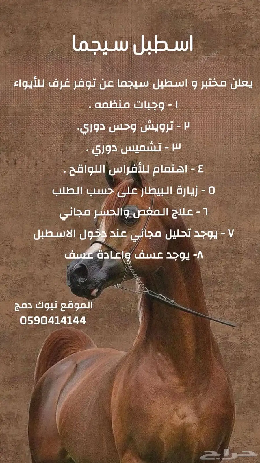 ايوا خيل 0