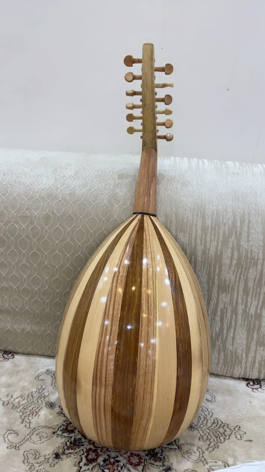 عود مصري 1