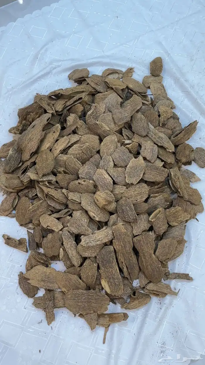عود طبيعي مميز يجمع مابين السومطري والكلمنتان يسمى حدودي 1