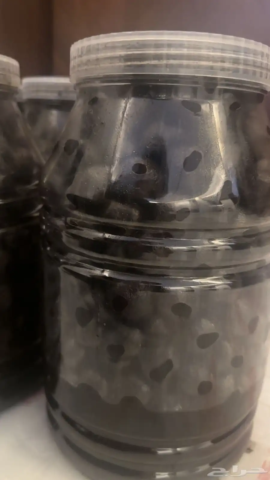 معمول كويتي 2