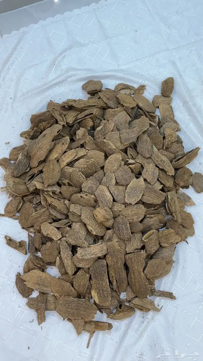 عود طبيعي مميز يجمع مابين السومطري والكلمنتان يسمى حدودي 2