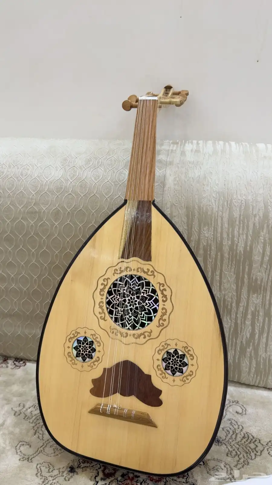 عود مصري 0