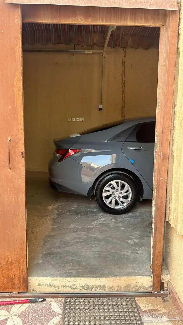 جنوط طيس انترا . 0