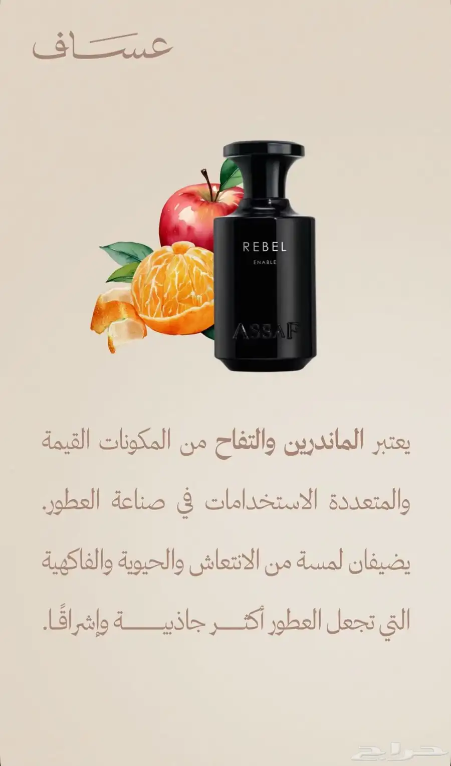 مجموعة بيقاسوس مع عطر ريبل 400 مل 4