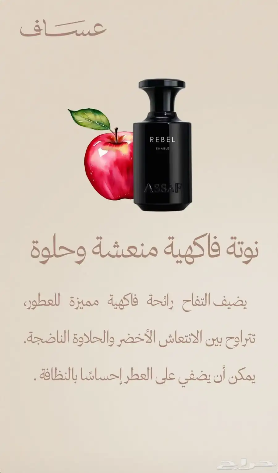 مجموعة بيقاسوس مع عطر ريبل 400 مل 5