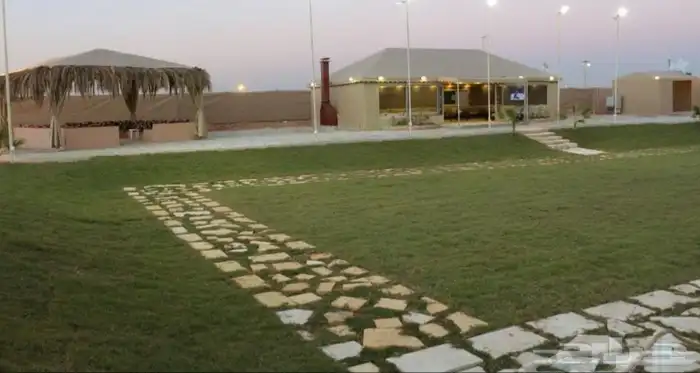 في الرياض 26