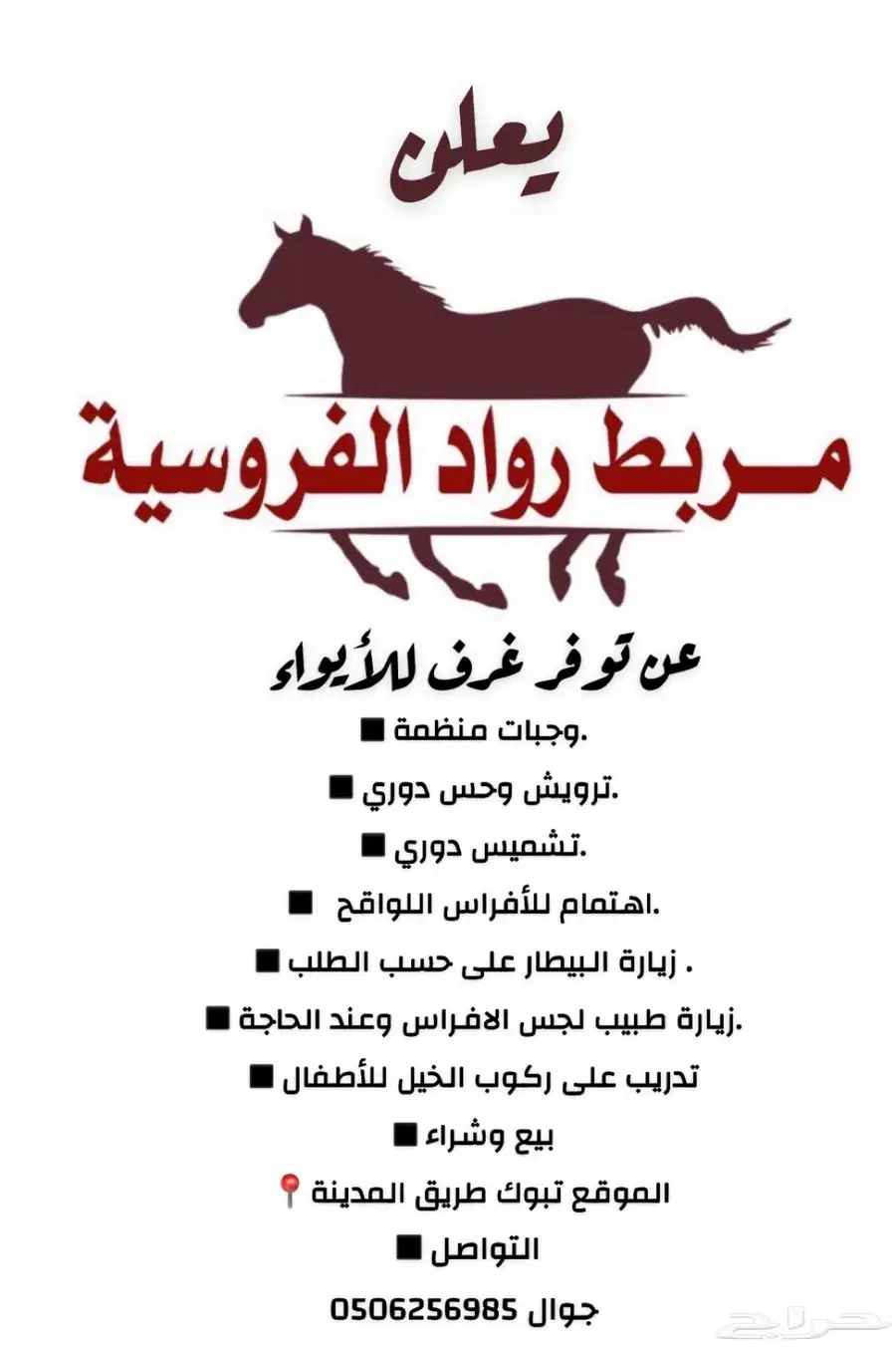 مربط رواد الفروسية 1