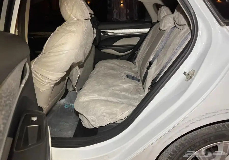 جيلي بينراي 2021 13