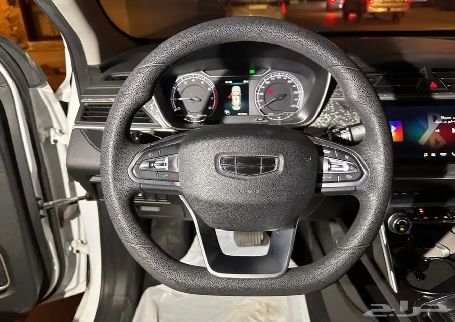 جيلي بينراي 2021 19