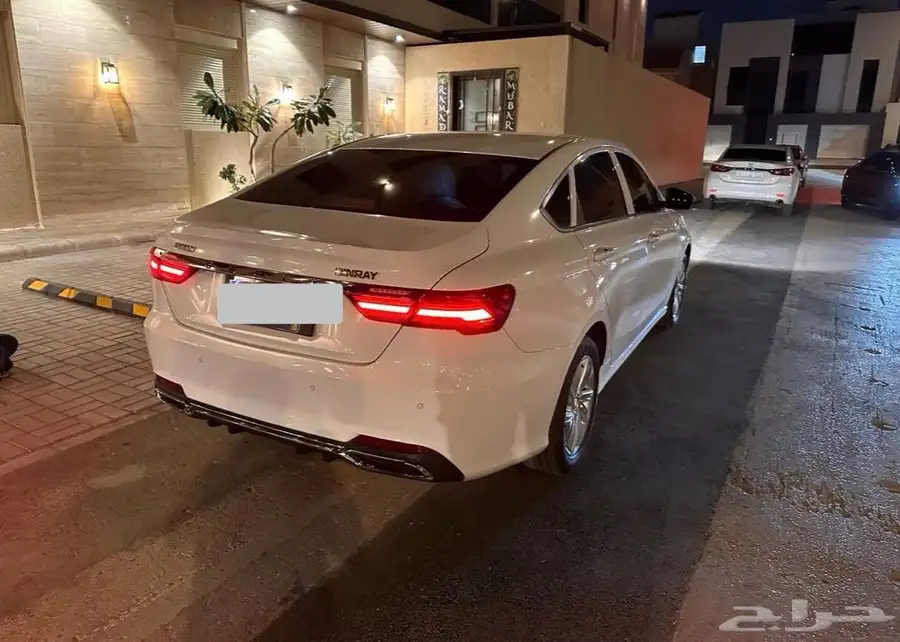 جيلي بينراي 2021 5