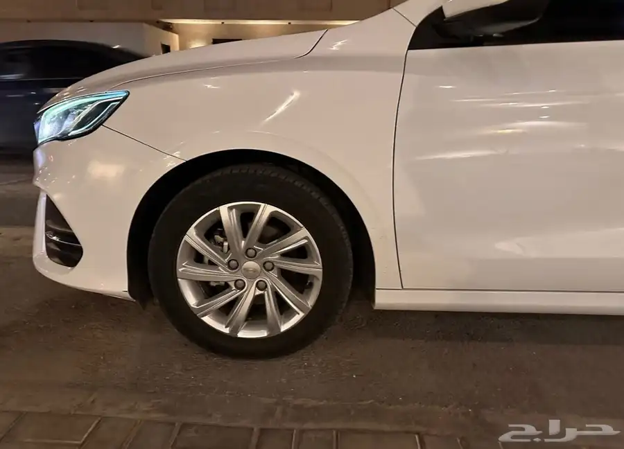 جيلي بينراي 2021 8