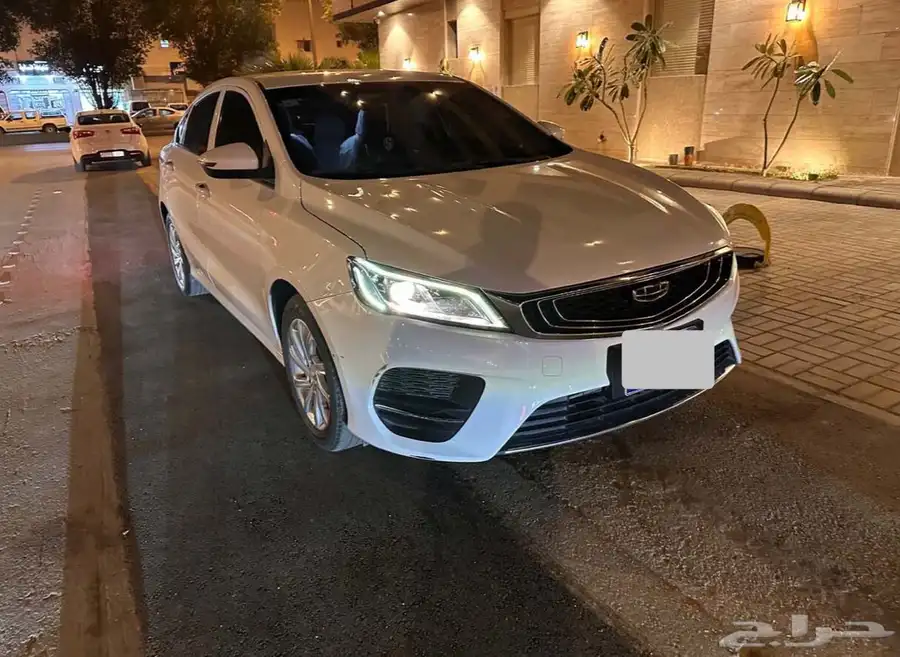 جيلي بينراي 2021 3