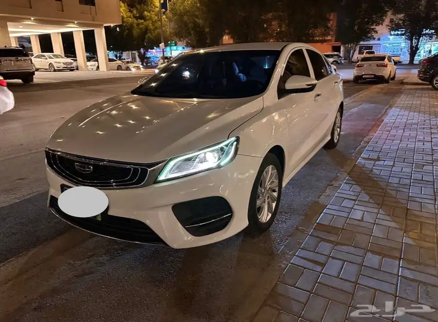 جيلي بينراي 2021 1