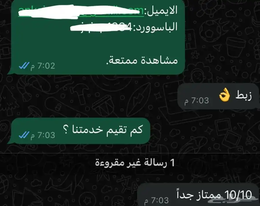 اشتراك نتفلكس 13