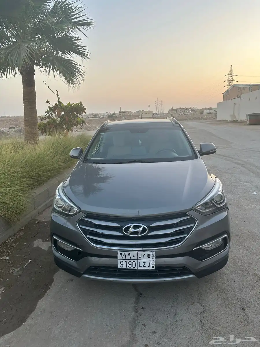 سنافيه 2016 0