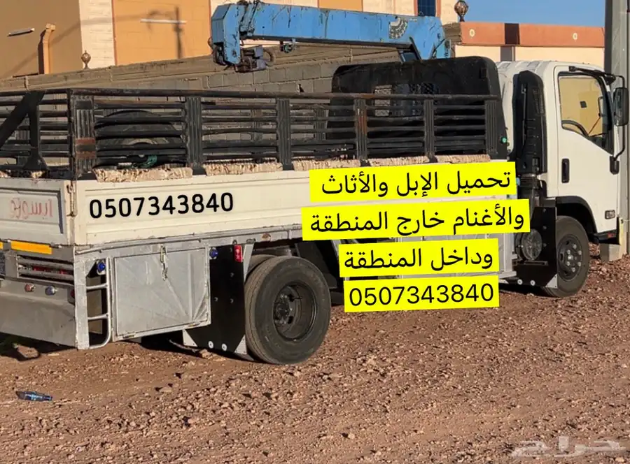 ادينه اكرين 0