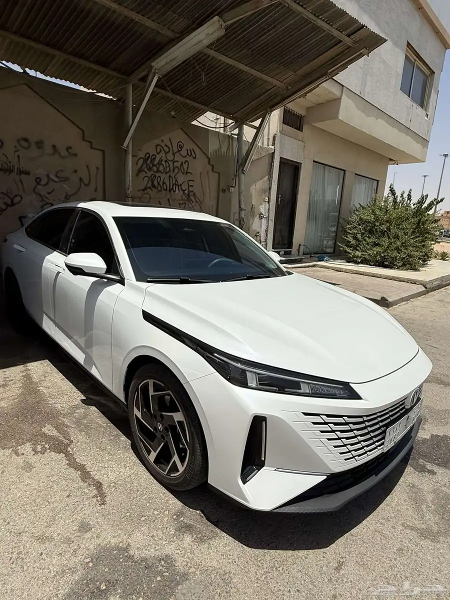 شنجان ايدو ليمتد 2025 1