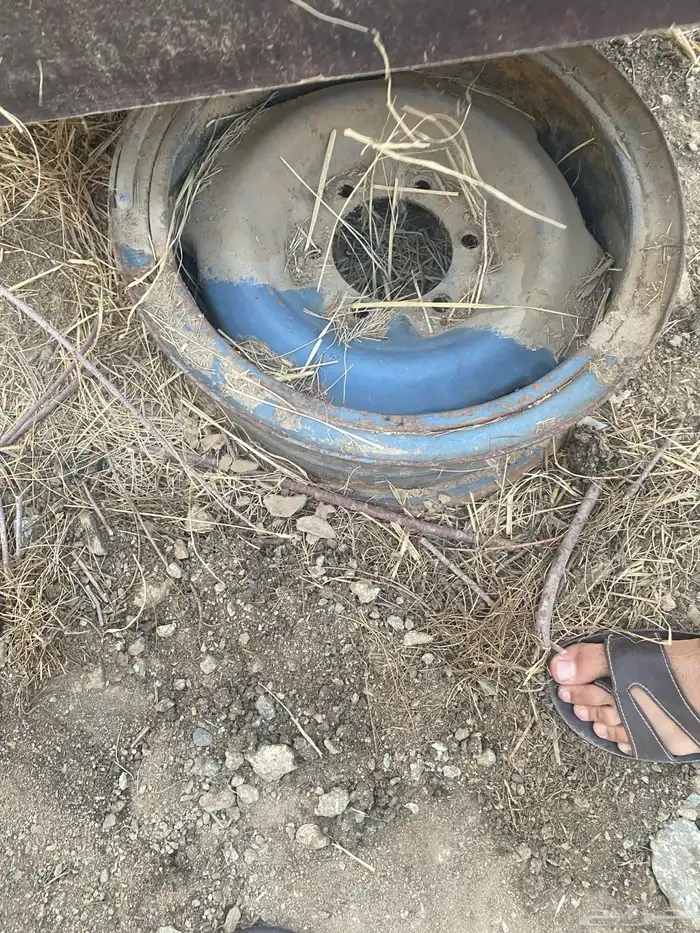 جنوط ربع وشاص شنبر 0