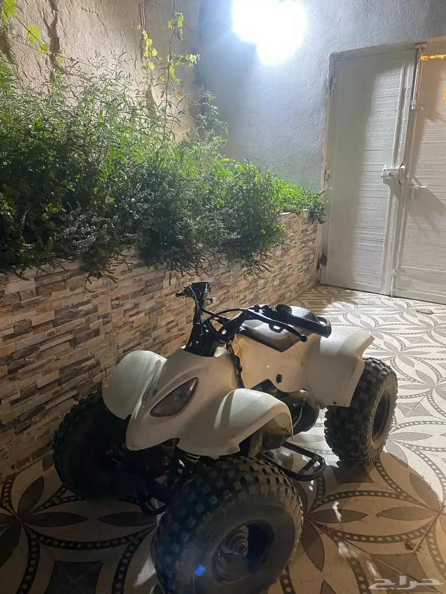 دباب رام للبيع 0