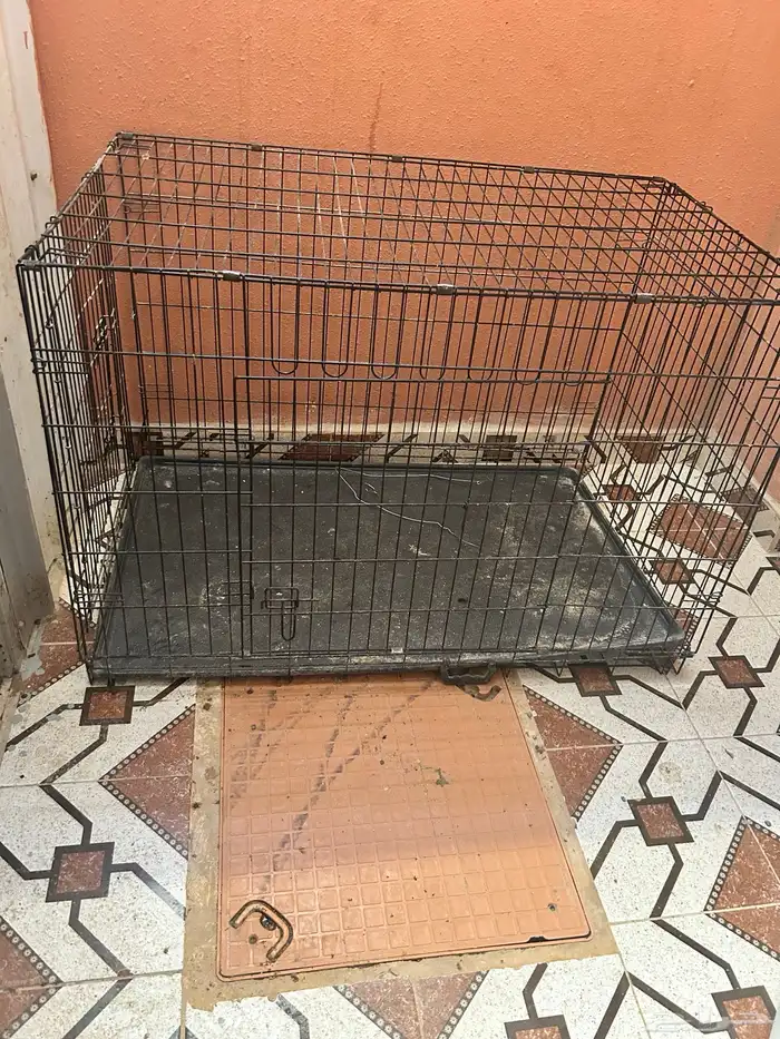 شبك حيوانات مثل دجاج وجميع الحيوانات 3