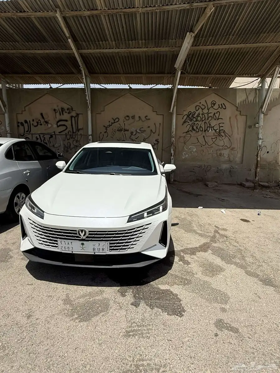 شنجان ايدو ليمتد 2025 3