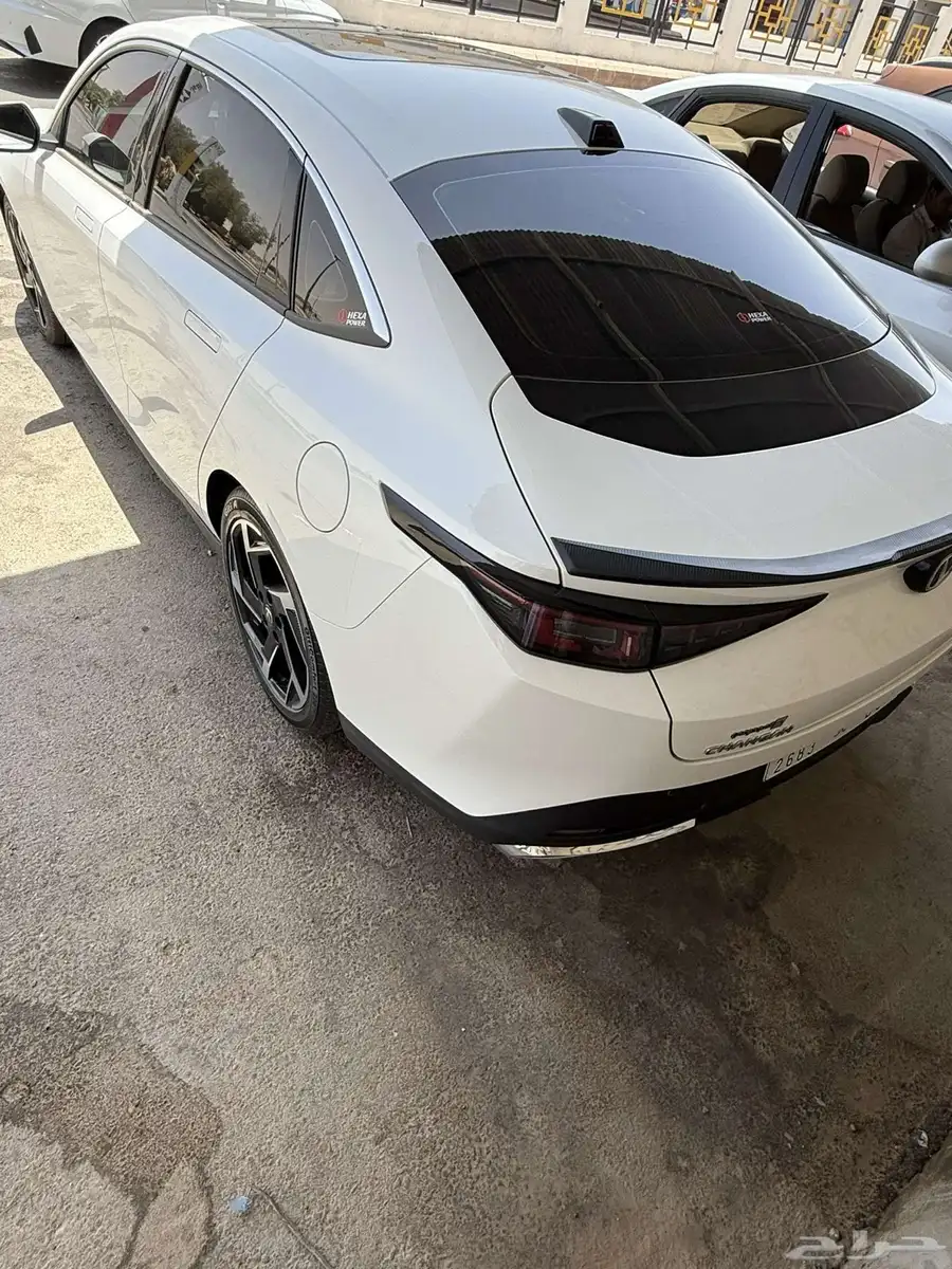 شنجان ايدو ليمتد 2025 2